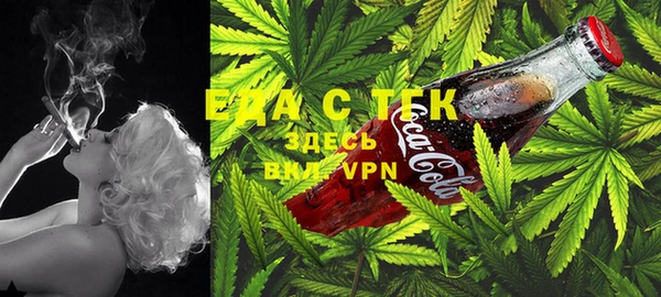 индика Лабытнанги