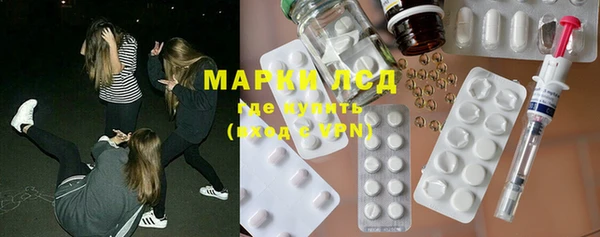 индика Лабытнанги