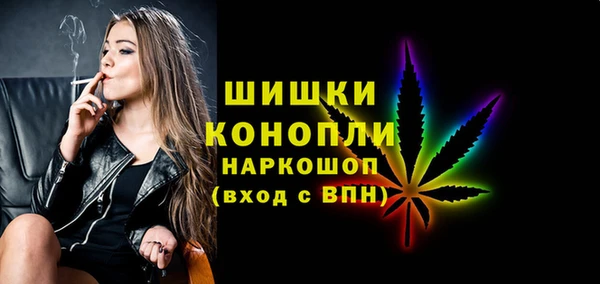 индика Лабытнанги