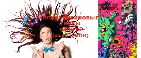 индика Лабытнанги