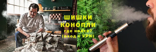 индика Лабытнанги