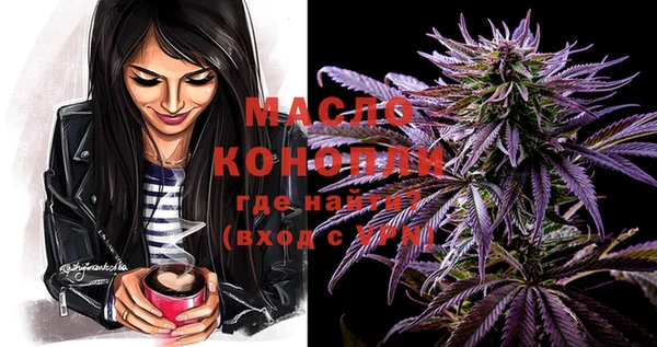 индика Лабытнанги