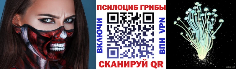 Купить  Будённовск  Галлюциногенные грибы Cubensis 